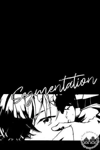 segmentation