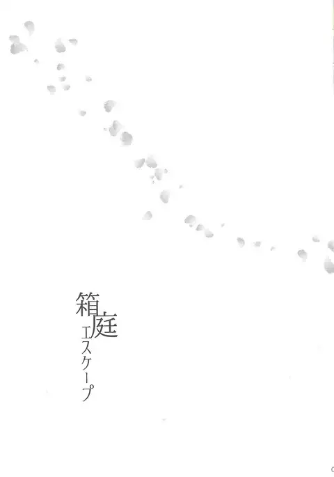 Hakoniwa Escape