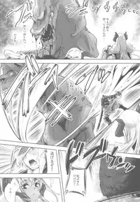 (C78) [Fujiya Honten (Thomas)] Hunter's Bible (Monster Hunter)