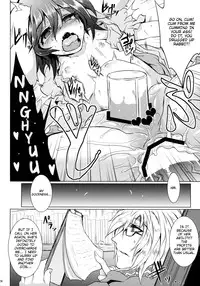 (C86) [MegaSoundOrchestra (Sanwaribiki)] Gensou Enkou -Inaba- (Touhou Project) [English] [rqwrqw]