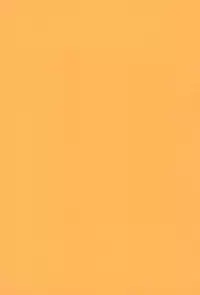 (C95) [Haigoku Ryodan (Karasuma Amiru)] Yoidore Night Wolf (Touhou Project)