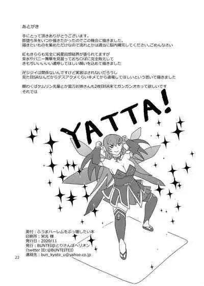 Fuuma Harem o Bukkowashitai Hon