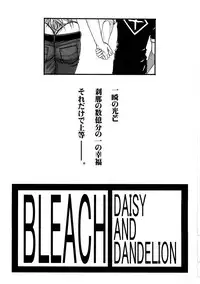 (C73) [H&K (Kotobuki Kazuki)] Shinigami Zukan Crazy (Bleach, Code Geass)