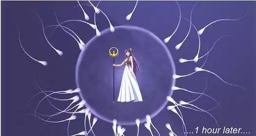 Athena and Zelos