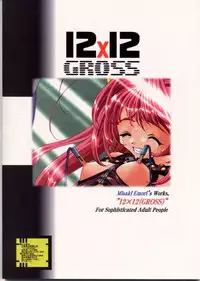 [Misaki Emori] 12X12(Gross)