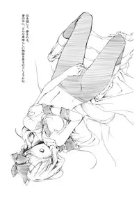 (Reitaisai SP2) [Gyokotsu Kouzou (Kapo)] Borderline (Touhou Project)