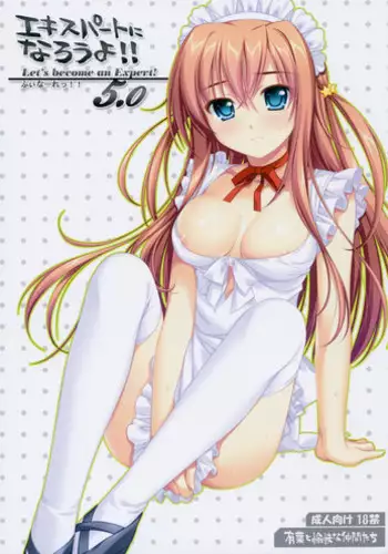 (SC36) [Alpha to Yukaina Nakamatachi (ALPHa)] Expert ni Narouyo!! 2.0
