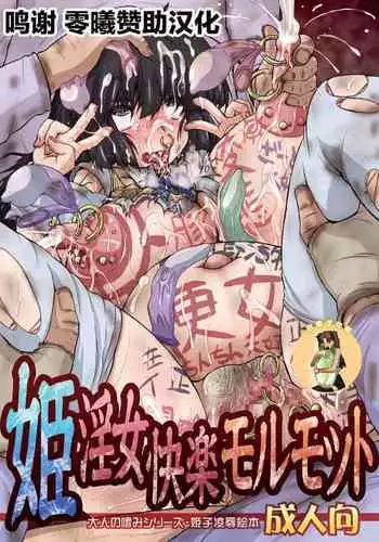 (C88) [CIRCLE ENERGY (Imaki Hitotose)] Hime Injo Jikken Ringokuhen Etsu (Hyper Anna)