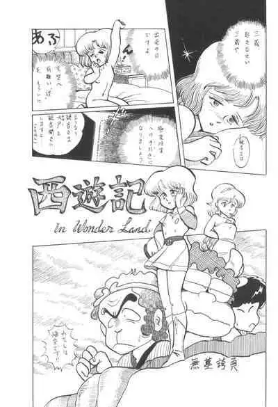 Cybele Vol. 6