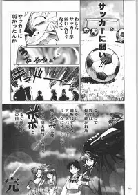(C55) [Kacchuu Musume (Various)] Rye Mugibatake de Kin Medal (Various)