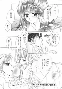 [Sakurai Aya] My Sweet Plum