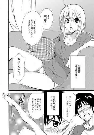 Ane no Nikumitsu