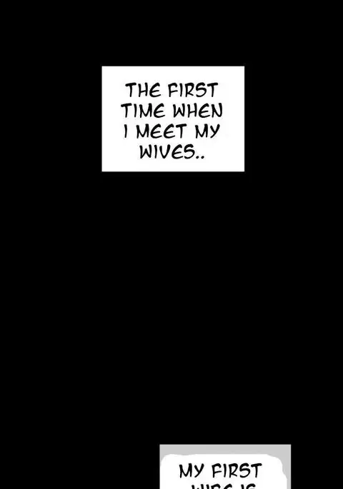 My Wives Ch.1-29