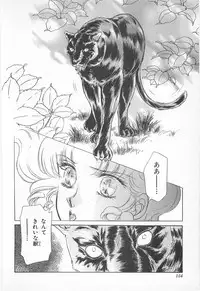 [Asagiri Yuu] Midnight Panther Volume 2 JPN