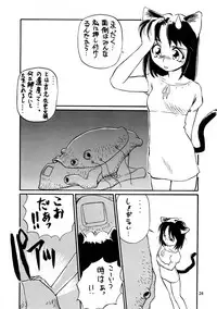 (C54) [.30-06 (Tsutsumi Akari)] CAZA MAYOR 3