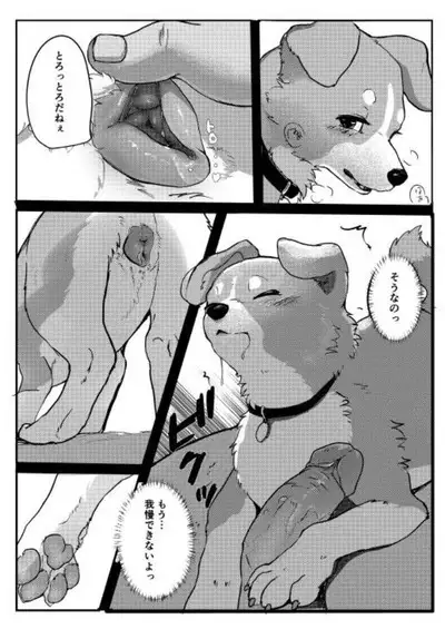 Wonderful! 1