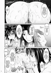 (C75) [Garyuh Chitai (TANA)] Aki-Akane -Sequel 1- (Bleach) [English]