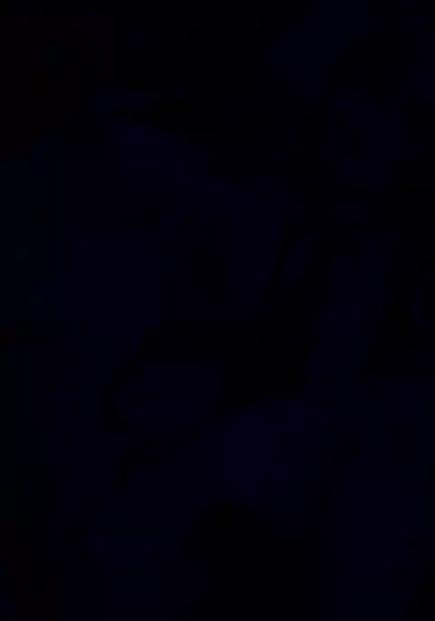 リク絵　ルーシーちゃん