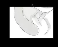 [Yuutan Ya] Ai Ningyo