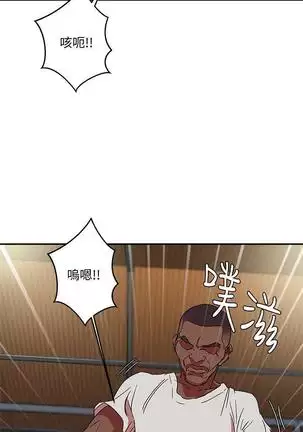母豬養成計畫