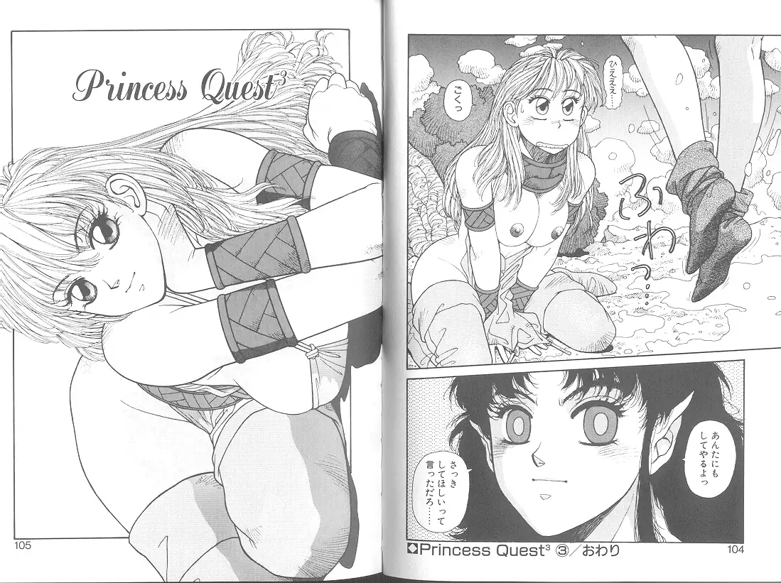 Princess Quest Saga