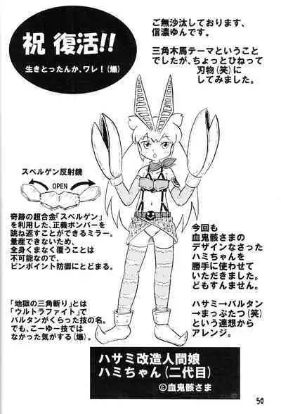 Tsurupeta Kenkyuu Houkokusho 011