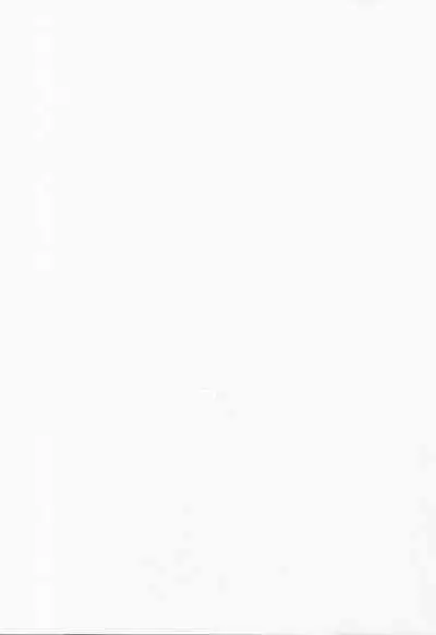 Shotagui Rumia Ketteisen