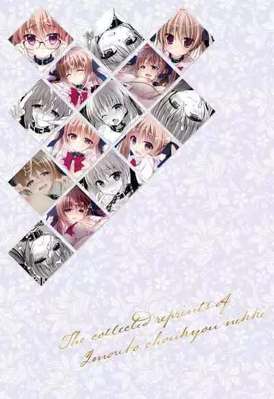 Imouto Choukyou Nikki Sairokushuu