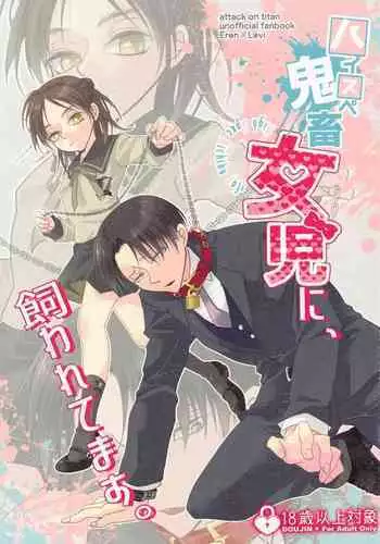 ぇ〈 せ れ ん と ぇ〈す〈れめんと (Shingeki no Kyojin)