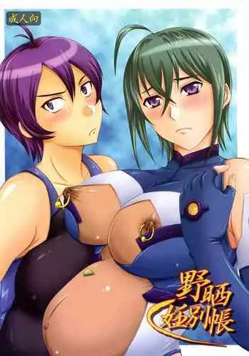 (C71) [Nozarashi (Nozarashi Satoru)] Nozarashi Ninbetsuchou (Various)