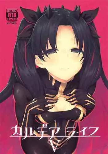 Chaldea Life V