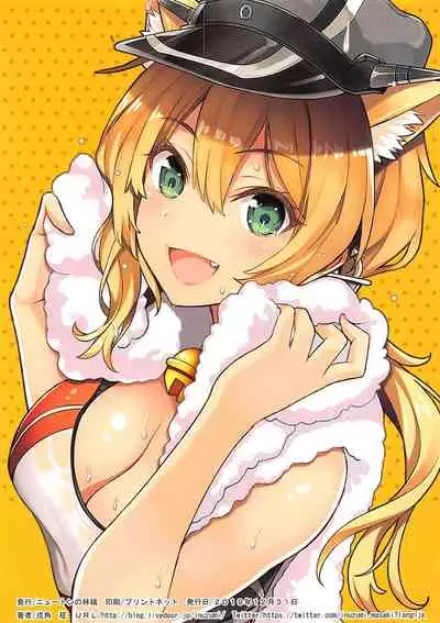 N,s A COLORS #11