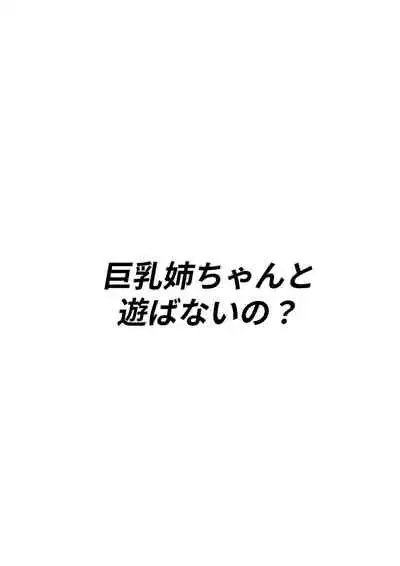 Kyounyuu Nee-chan to Asobanai no