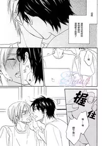 Sugar Code 1~3