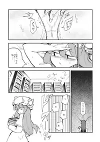 (C80) [Shironegiya (miya9)] Waisetsu Toshokan (Touhou Project)