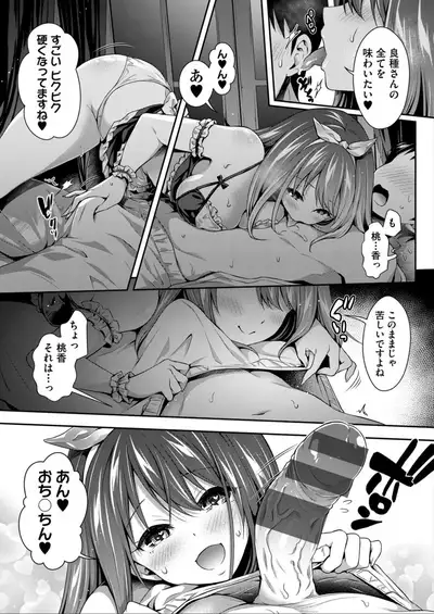 Harem Maid No Damedame Ecchi
