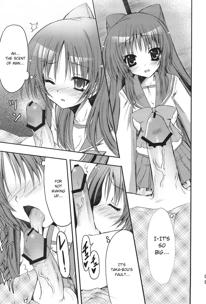 PICOMANI 04