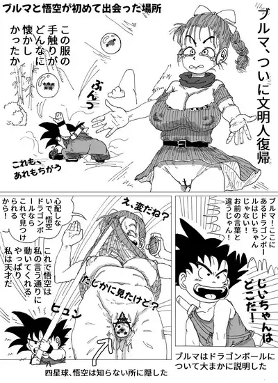 Bulma's Suffering