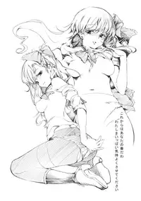 (Reitaisai SP2) [Gyokotsu Kouzou (Kapo)] Borderline (Touhou Project)