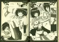 草莓100分 13