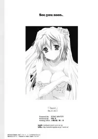 (C81) [SONIC WINTER (Tsukishima Kai)] Carol (Infinite Stratos) [English]
