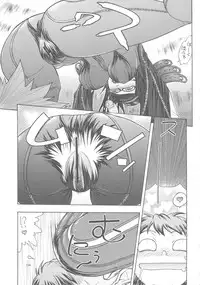 [From Japan] FYC R14Y (Various)