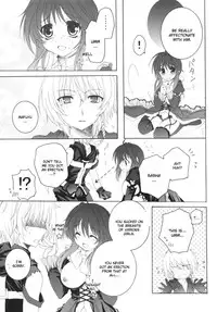 (C80) [Pyonpyororin (Akoko.)] partner (Seikon no Qwaser) [English] {CGrascal}