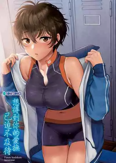 Furete Hoshikute Tamaranai | 想得到你的愛撫 已迫不及待