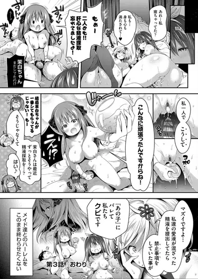Harem Maid No Damedame Ecchi