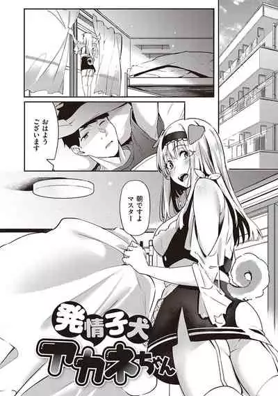 Juujun Nadeshiko