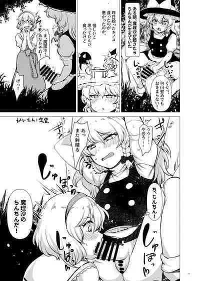Touhou Futanari Uke Goudou-shi