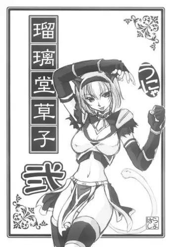 (C63) [U-A Daisakusen, Lapislazuli=corporation (Harada Shoutarou)] Ruridou Gahou Ni (Final Fantasy XI)