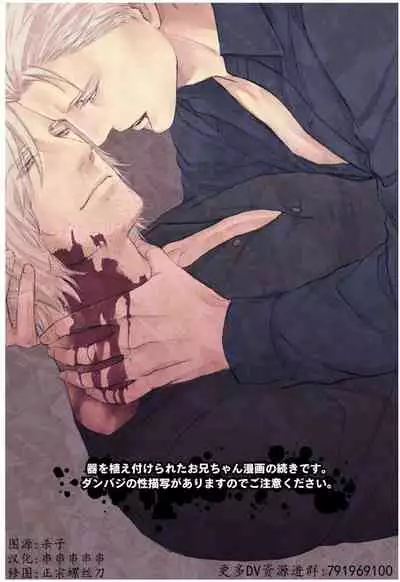 Dante x Vergil