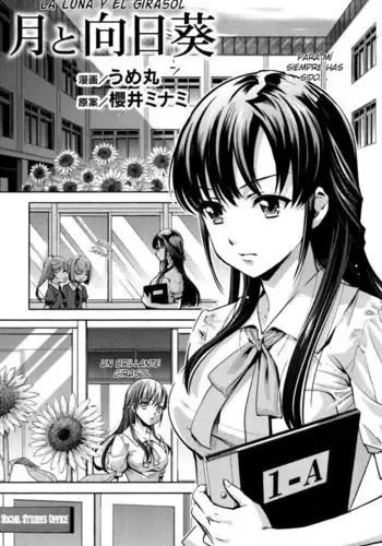 Mega☆Pai | Mega☆Tits